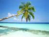 Tropical Island, Maldives